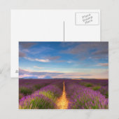 Provence - briefkaart Lavender-velden (Voorkant / Achterkant)