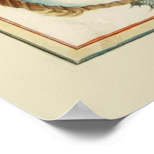 Provence Carte Poster (Hoek)