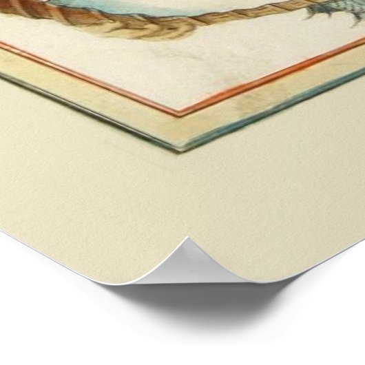 Provence Carte Poster (Hoek)