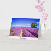 Provence Folie Wenskaart (Orchidee)