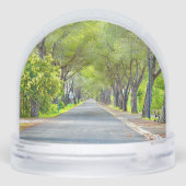 Provence France, Canopy of Trees Over Road Sneeuwbol (Achterkant)