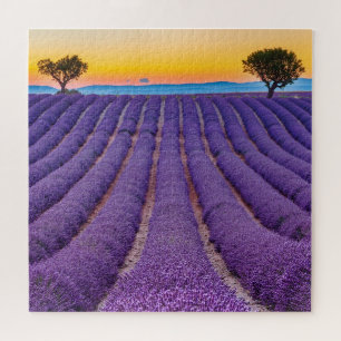 Provence, France.Plateau of Valensole. Legpuzzel