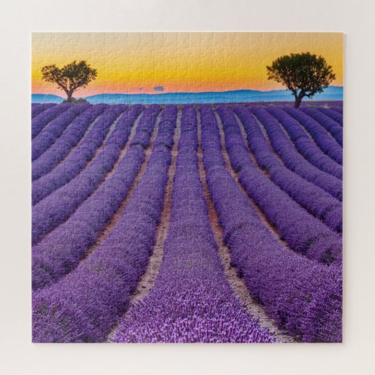 Provence, France.Plateau of Valensole. Legpuzzel (Horizontaal)