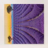 Provence, France.Plateau of Valensole. Legpuzzel (Verticaal)