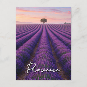 Provence Frankrijk Lavendelvelden Briefkaart