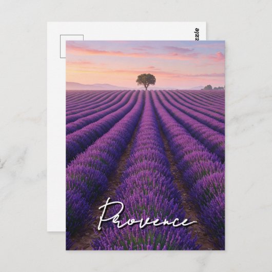 Provence Frankrijk Lavendelvelden Briefkaart (Voorkant / Achterkant)