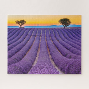 Provence, Frankrijk. Plateau of Valensole. Legpuzzel