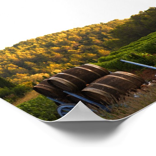 Provence, Frankrijk Poster (Hoek)