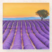 Provence Glazen Onderzetter (Voorkant)