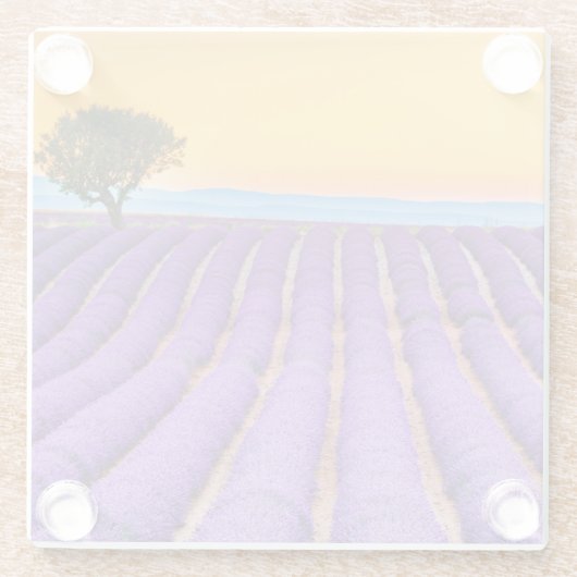 Provence Glazen Onderzetter (Achterkant)