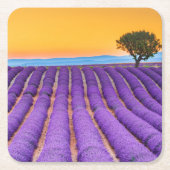 Provence Kartonnen Onderzetters (Voorkant)