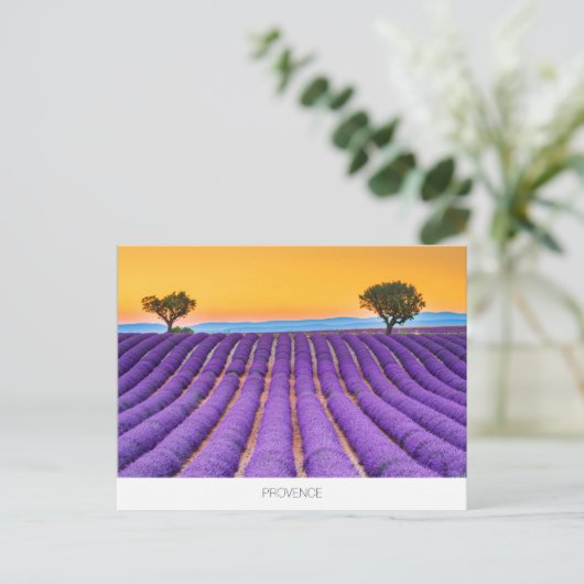 Provence lavender briefkaart (Staand voorkant)