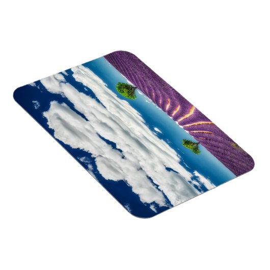 Provence Magneet (Rechterzijde)