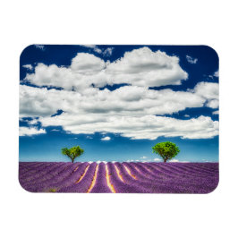 Provence Magneet