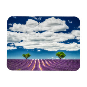Provence Magneet