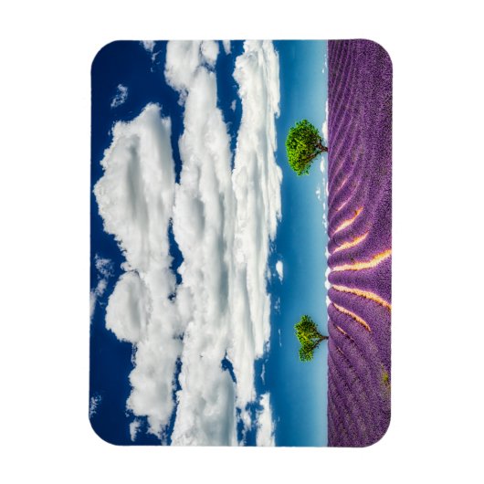 Provence Magneet (Verticaal)