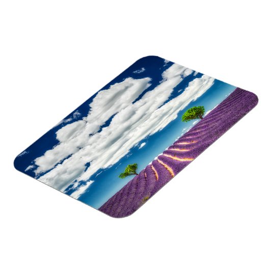 Provence Magneet (Linkerzijde)