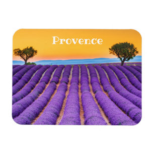 Provence Magneet
