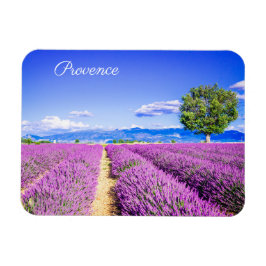 Provence Magneet
