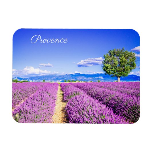 Provence Magneet (Horizontaal)