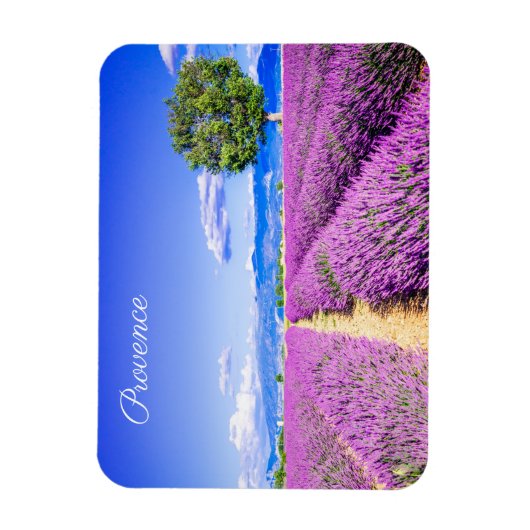 Provence Magneet (Verticaal)
