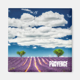 Provence magnet, Valensole lavender Magneet