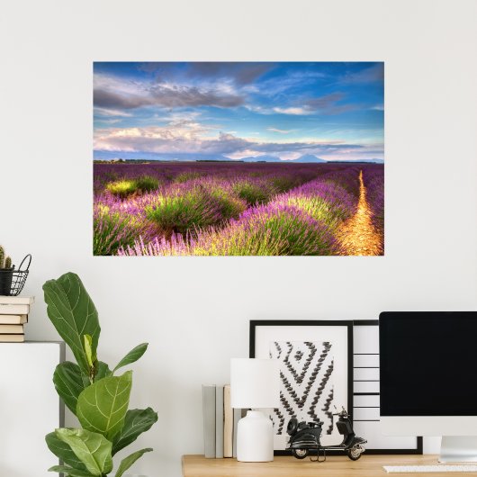 Provence - poster Lavender-velden (Thuiskantoor)