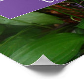 Proverb fortuin is goed voor het moedige poster (Hoek)