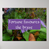 Proverb fortuin is goed voor het moedige poster (Voorkant)