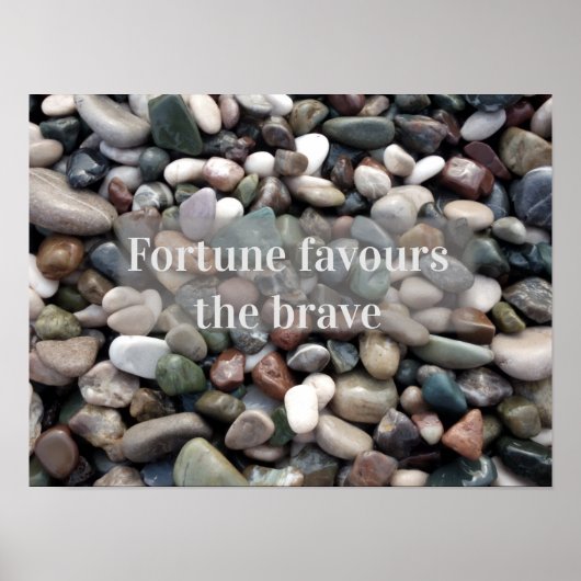 Proverb fortuin is goed voor het moedige poster (Voorkant)