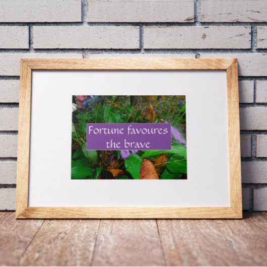 Proverb fortuin is goed voor het moedige poster