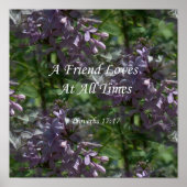 proverbs17-17 ~ Lilacs Poster (Voorkant)