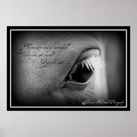 Proverbs 11:17 poster (Voorkant)