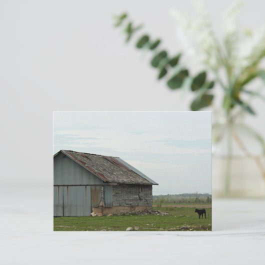 Proverbs 16:8 Old Barn Briefkaart (Staand voorkant)