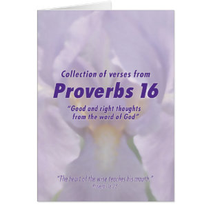 Proverbs 16 versies