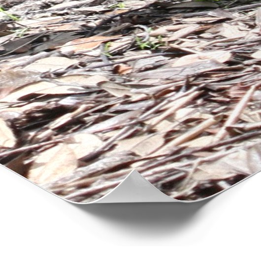 Proverbs 18:21 Afdrukken van scripts Poster (Hoek)