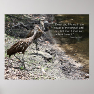 Proverbs 18:21 Afdrukken van scripts Poster