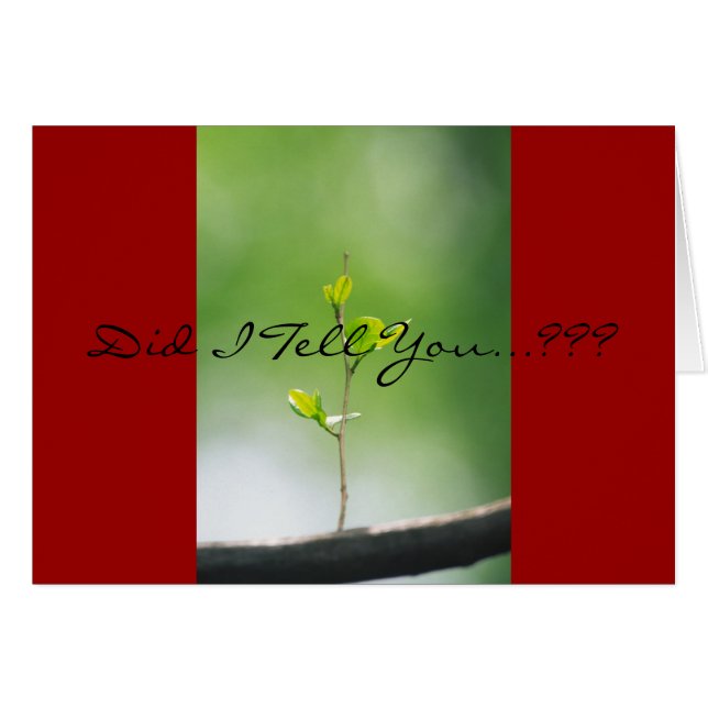 Proverbs 18:21 - Liefde (Voorkant Horizontaal)