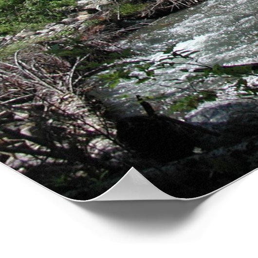 Proverbs 18:4-Poster Poster (Hoek)