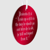 PROVERBS 22:6 ORNAMENT (voorkant)