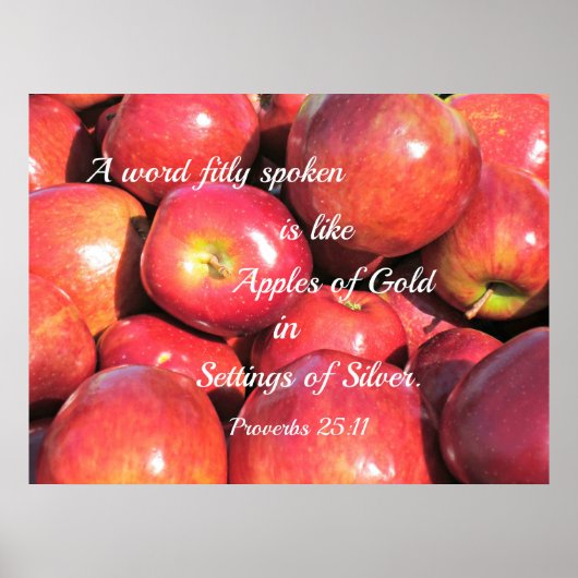 Proverbs 25:11 Een woord, gefitnessleerd gesproken Poster (Voorkant)