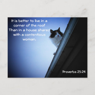 Proverbs 25 24 Kat op een dakje Briefkaart
