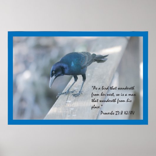 Proverbs 27:8 Poster voor scripts (Voorkant)
