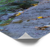 Proverbs 28:1 poster (Hoek)