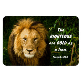 Proverbs 28:1 Righteous zijn gebold als een leeuwb Magneet