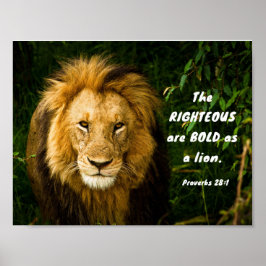 Proverbs 28:1 Righteous zijn gebold als een leeuwb Poster