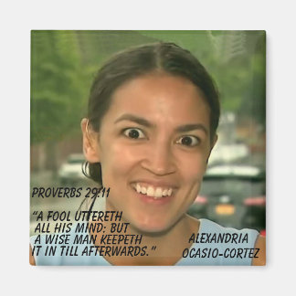 PROVERBS 29:11 MAGNEET