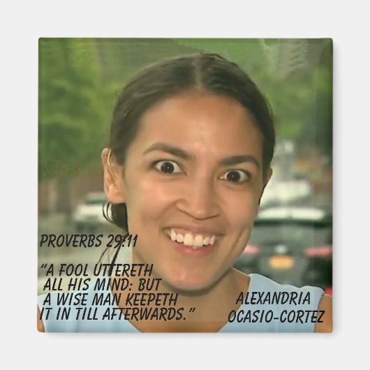 PROVERBS 29:11 MAGNEET (Voorkant)