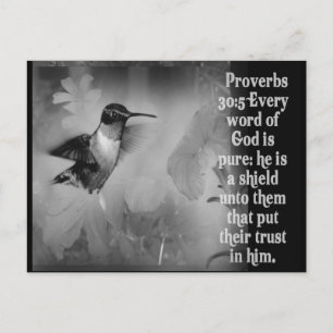 Proverbs 30:5 BIBLE SCRIPTURE with Hummingbird Briefkaart
