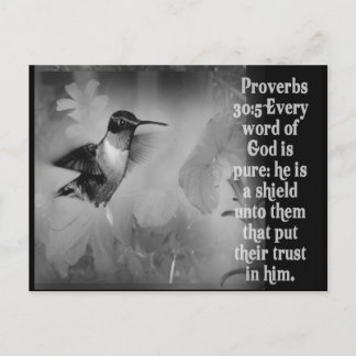 Proverbs 30:5 BIBLE SCRIPTURE with Hummingbird Briefkaart